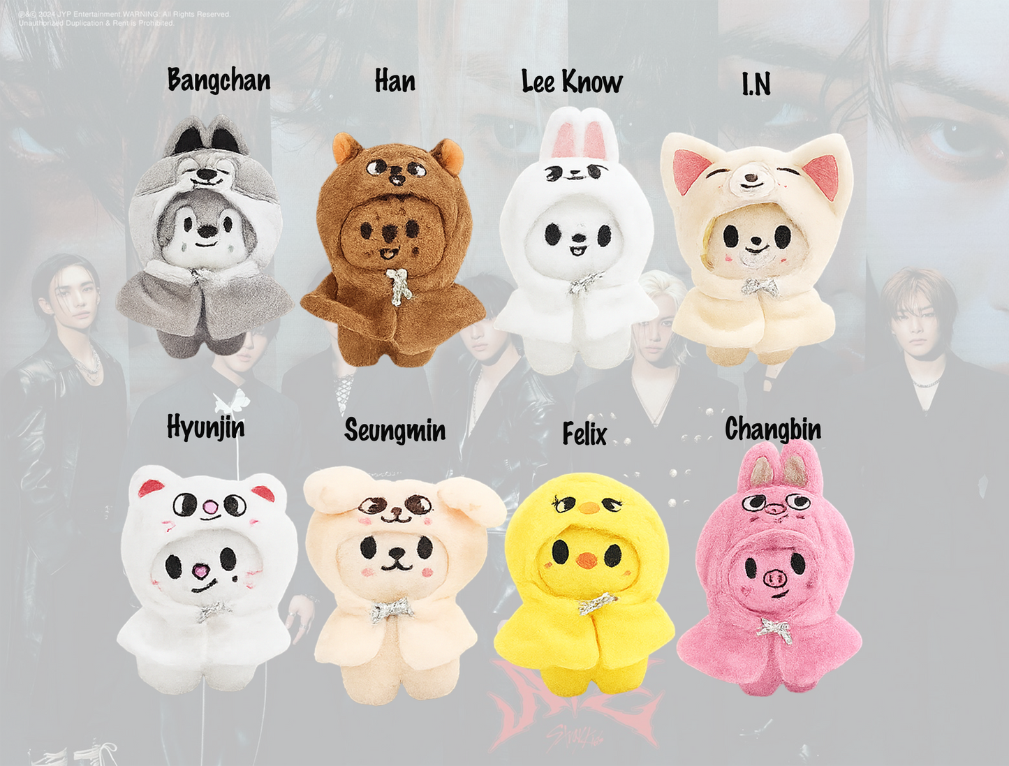 Stray Kids Mystery Box ( SKZ Surprise Set )