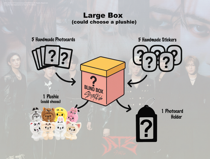 Stray Kids Mystery Box ( SKZ Surprise Set )