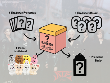 Stray Kids Mystery Box ( SKZ Surprise Set )